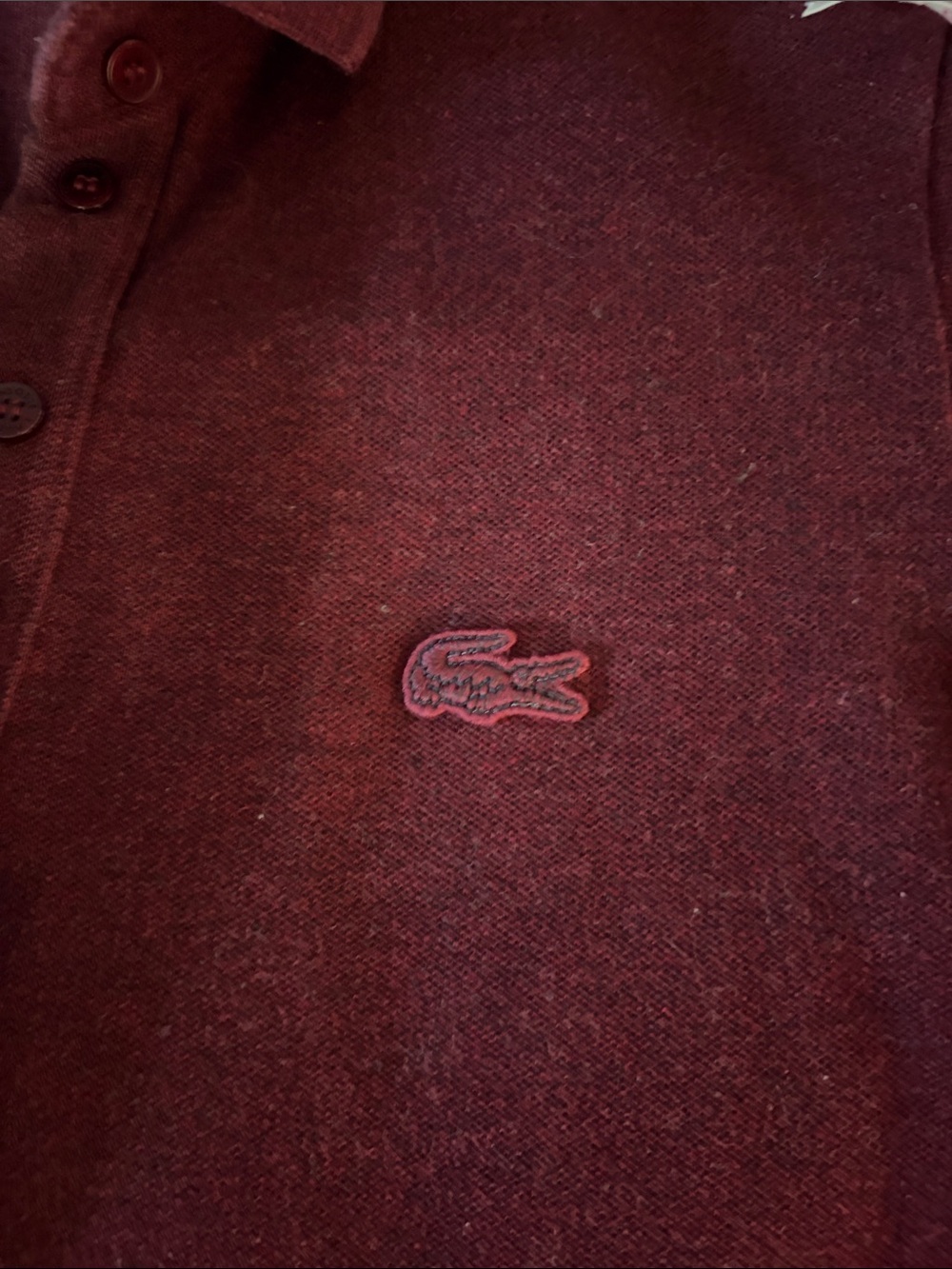 Lacoste Womerns Burgundy Polo with Embroidered Crocodile - Picture 3 of 6